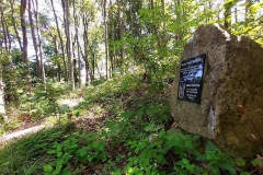 Pamiątkowa tablica przytwierdzona do skały pośród drzew