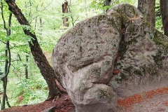 Ogromny kamień pośród drzew i zarośli