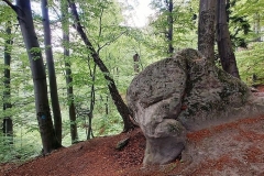 Ogromny kamień pośród drzew i zarośli