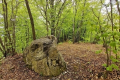 Ogromny kamień pośród drzew