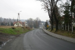 Asfaltowa droga prowadząca przez Pleśną