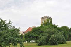 Wieża pałacowa wśród gęstych zarośli