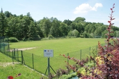 Ogrodzone boisko sportowe, obok gęsto rosnące drzewa