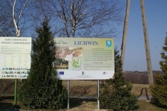 Tablice turystyczne w Lichwinie pośród krzewów