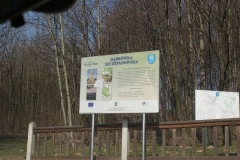 Tablica turystyczna w Dąbrówce Szczepanowskiej, za nią las