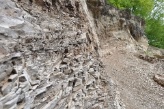 Ściana w nieczynnym kamieniołomie w Lichwinie