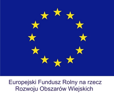 Flaga Unii Europejskiej