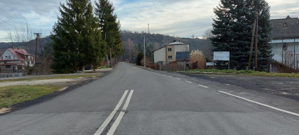 Fragment drogi asfaltowej, po obu stronach zabudowania mieszkalne i drzewa