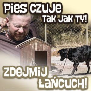 Czarny pies przywiązany na łańcuchu obok budy. Z prawej mężczyzna z łańcuchem na szyi.