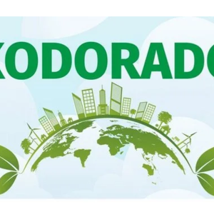 Zielona półkula Ziemi na tle błękitnego nieba, u góry zielony liść i napis "ekodoradca"