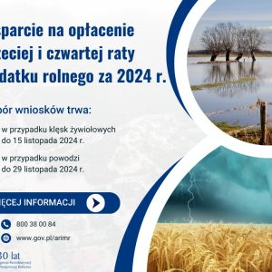 Na dole żółte zboże na tle ciemnych chmur, u góry trzy drzewa otoczone wodą.