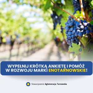 Informacja o ankiecie na tle plantacji winogron