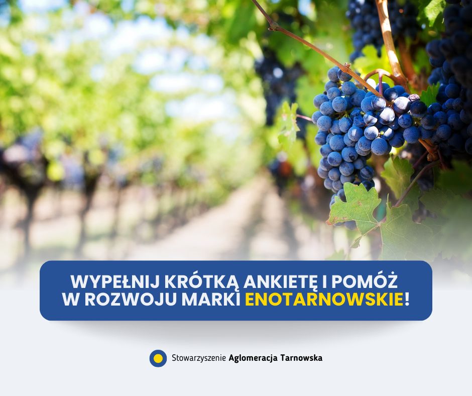 Informacja o ankiecie na tle plantacji winogron