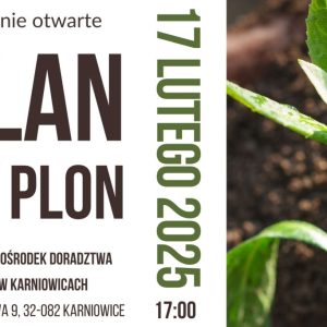 Informacja o spotkaniu, obok zielona łodyga z liśćmi.