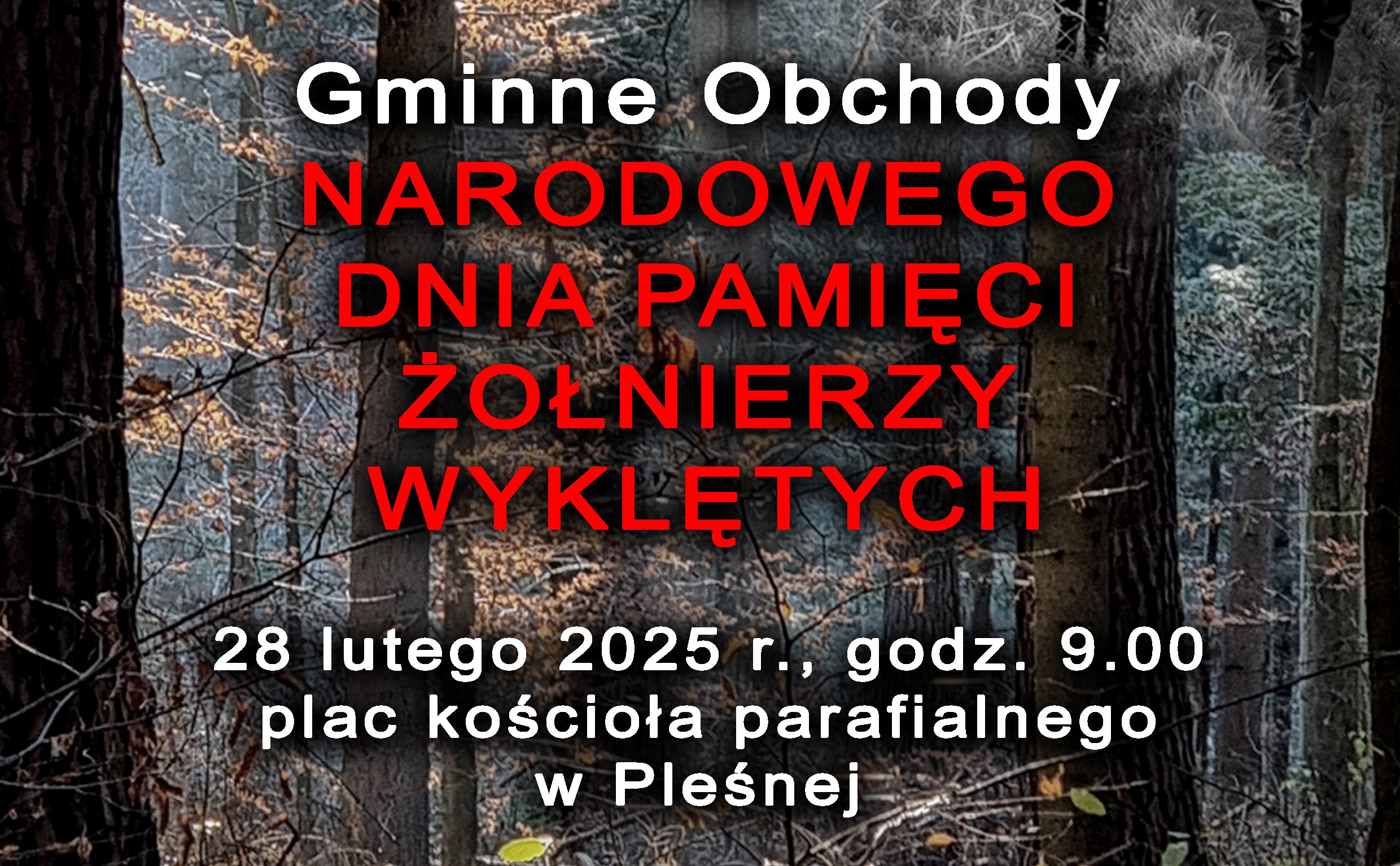 Napis Gminne Obchody Narodowego Dnia Pamięci Żołnierzy Wyklętych wraz z datą wydarzenia. W tle widoczny las.