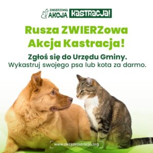 Plakat informacyjny, pies i kot patrzą na siebie