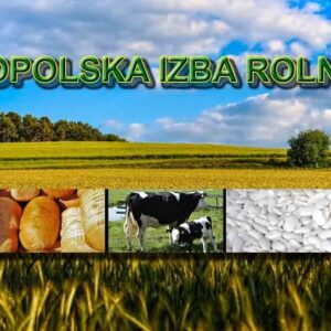 Widok na łąkę, na pierwszym planie dojrzałe zboże