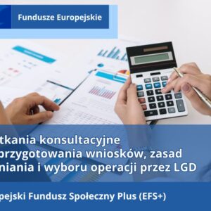Kobiece dłonie trzymają kalkulator i długopis, w tle dokumenty z wykresami