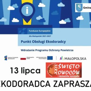 Grafika informacyjna
