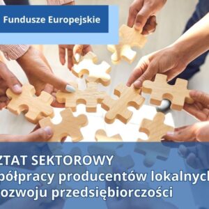 Dłonie trzymające duże drewniane kawałki puzzli