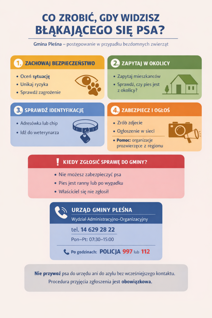 Kolorowa infografika informująca o tym, co zrobić, gdy widzisz błąkającego się psa