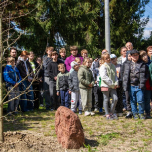 Na pierwszym planie wsadzone drzewko i kamień. Na drugi grupa dzieci.