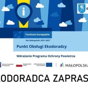 Grafika informacyjna