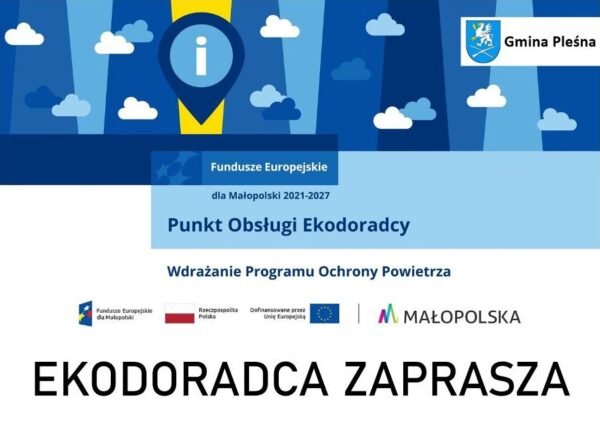Grafika informacyjna