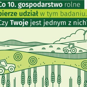 Grafika informacyjna w zielonych barwach