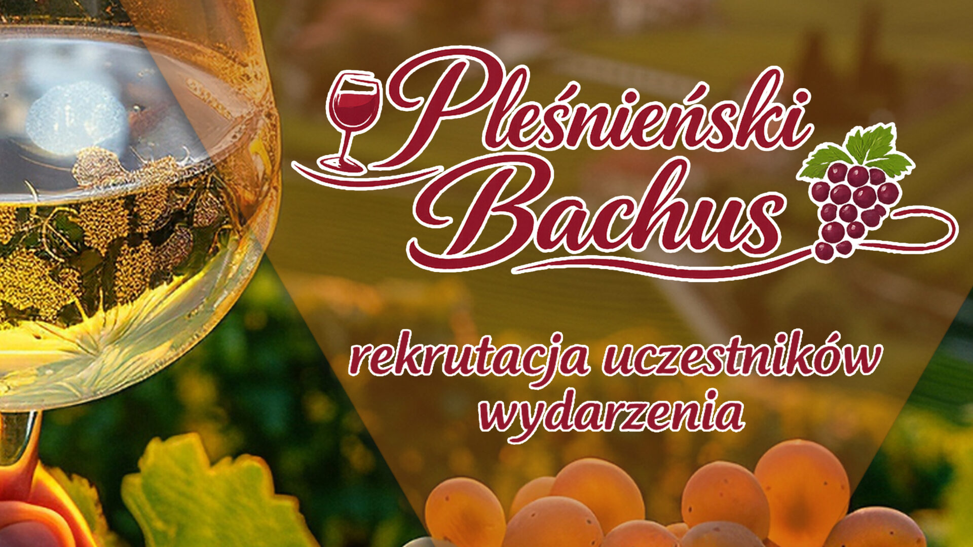Baner wydarzenia "Pleśnieński Bachus". Rekrutacja uczestników. W tle winogrona i kieliszek z winem.