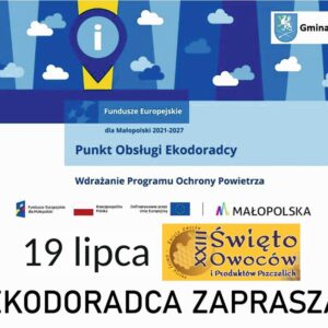 Grafika informacyjna