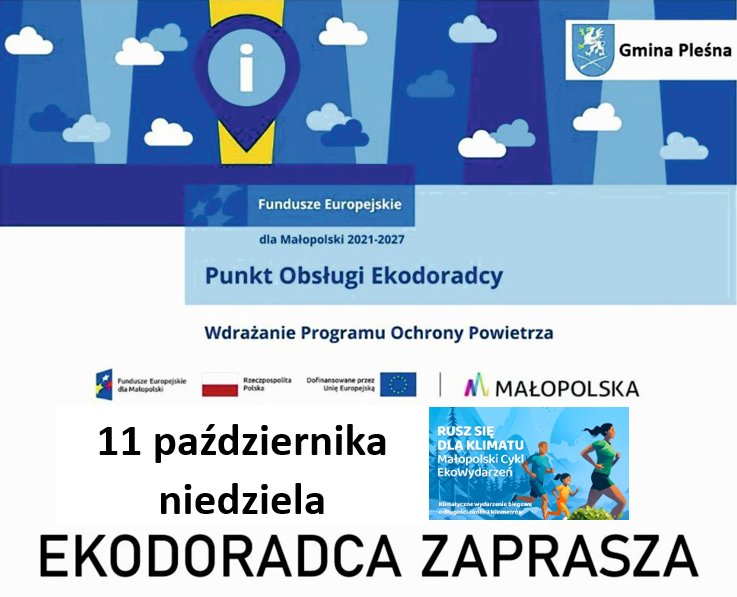 Grafika informacyjna w niebieskich barwach